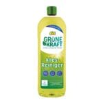 Allesreiniger Fit Grne Kraft