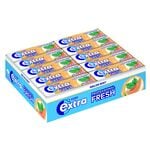 30er-Pack Kaugummis »PROFESSIONAL FRESH MELON MINT« 14 g