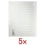 5x LEITZ Register 1220, A4 berbreit, blanko 20-teilig, grau, Recycling-Tauenpapier