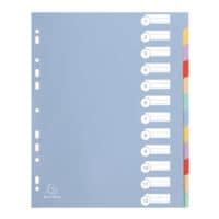 Exacompta Register, A4 berbreit, blanko 12-teilig, mehrfarbig, Kunststoff