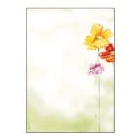 Sigel Motivpapier »Spring Flowers« DP123