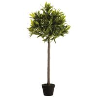 Paperflow Kunstpflanze »Olivenbaum« 125 cm