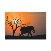 Paperflow Wandbild »Out of Africa«