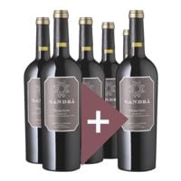 Rindchen's Weinkontor 6er-Pack Rotwein »2020 Primitivo Salento, Sandrá«