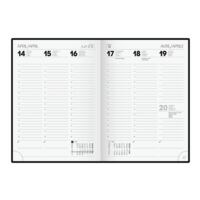 Brunnen Buchkalender 2023 »Modell 796«