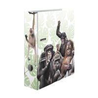 10x Motivordner A4 Herma Exotische Tiere breit, Motiv Affenbande