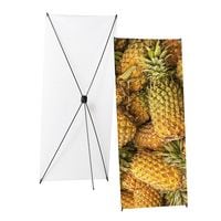 Showdown Displays X-Banner Budget 80 x 180 cm - ohne Bezug