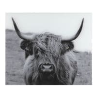 Wenko Glasrckwand Highland Cattle
