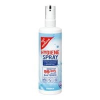 Gut und Gnstig Hygiene Spray 250 ml