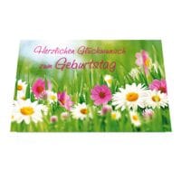 Geburtstagskarte LUMA KARTENEDITION Herzlichen Glckwunsch zum Geburtstag Blumenwiese, Sonderformat, mit Umschlag, 1 Stck