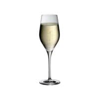 WMF Champagnerglas DIVINE 6 Stck 265 ml