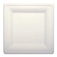 Papstar 100er-Pack Teller pure Zuckerrohr wei eckig - 26 x 26 cm