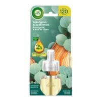 AIR WICK Duftstecker Nachfüller »Eukalyptus & Zedernholz« 19 ml