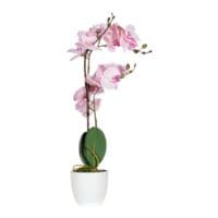 meet Kunstpflanze »Orchidee« 50 cm