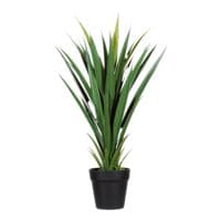 meet Kunstpflanze »Yucca« 60 cm