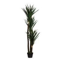 meet Kunstpflanze »Yucca« 150 cm