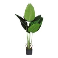 meet Kunstpflanze »Bananenbaum« 115 cm