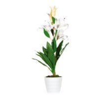 meet Kunstpflanze »Lilienblume« 65 cm