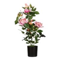 meet Kunstpflanze Rosenstock 54 cm