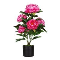 meet Kunstpflanze Pfingstrose 55 cm