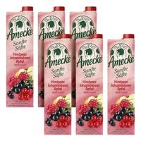 6er-Pack Fruchtsaft Sanfte Sfte Himbeere Johannisbeere Apfel 1 Liter