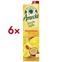 6er-Pack Fruchtsaft »Sanfte Säfte Multivitamin« 1 Liter