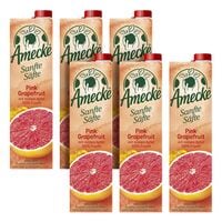 6er-Pack Fruchtsaft Sanfte Sfte Pink Grapefruit-Apfel-Sweetie 1 Liter
