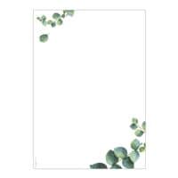 Sigel Motivpapier Eukalyptus DP626 A4 100 Blatt