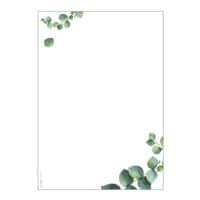 Sigel Motivpapier Eukalyptus DP682 A5 100 Blatt
