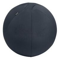 Leitz Sitzball Ergo Active 65 cm