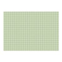 Brunnen Karteikarten A6 quer, kariert