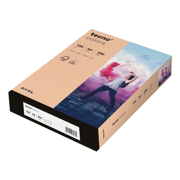 Farbige Papiere A4 Inapa tecno Rainbow / tecno Colors - 250 Blatt gesamt