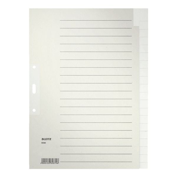 LEITZ Register 6096, A4, blanko 20-teilig, grau, Recycling-Tauenpapier
