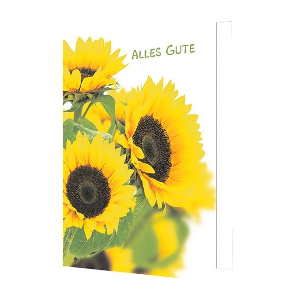 Grußkarte LUMA KARTENEDITION Alles Gute, Sonderformat, mit Umschlag, 6 Stück Grußkarte LUMA KARTENEDITION Alles Gute, Sonderformat, mit Umschlag, 6 Stück
