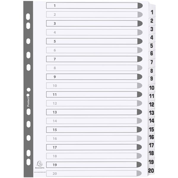 15x Exacompta Register, A4, 1-20 20-teilig, wei, Karton