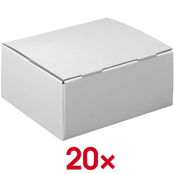 Nestler 20er-Pack Versandkartons Set M 37,5 x 30,0 x 13,5 cm 