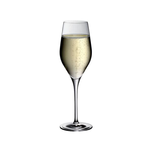 WMF Champagnerglas DIVINE 6 Stck 265 ml