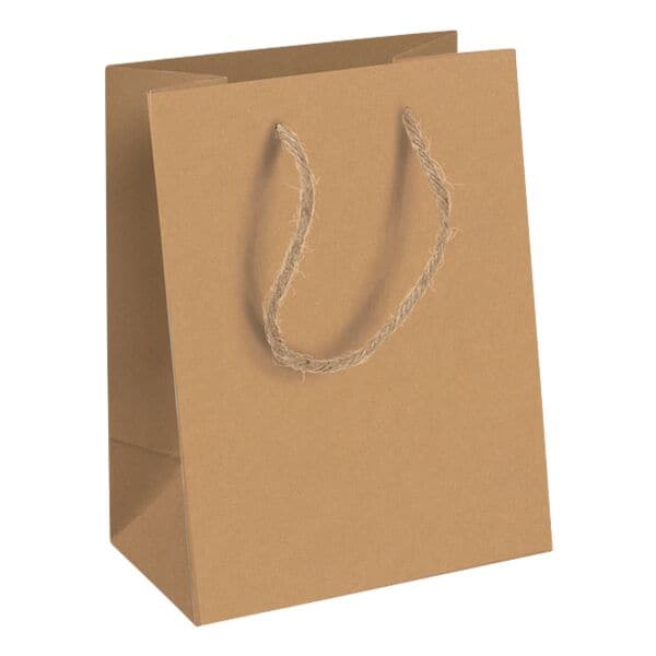 Clairefontaine 6er-Pack Geschenktasche aus Kraftpapier M 21,5 x 10,2 x 25,3 cm Clairefontaine 6er-Pack Geschenktasche aus Kraftpapier M 21,5 x 10,2 x 25,3 cm