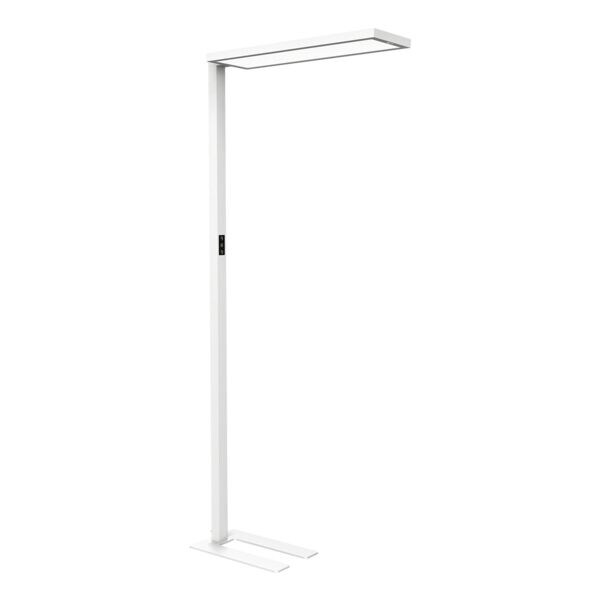 MAUL LED-Standleuchte »MAULsenja«