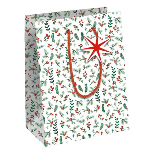 Clairefontaine 6er-Pack Geschenktasche M �Misteln�