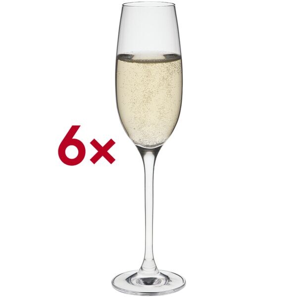 Rona Sektglas »EDITION« 150 ml 6er-Set