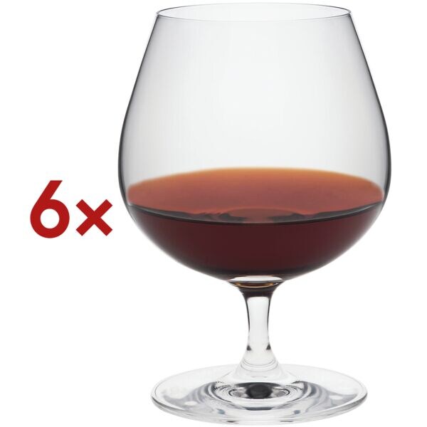 Rona Cognacglas EDITION 40 ml 6er-Set