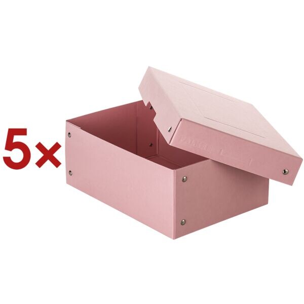 Falken Archiv-Box �PURE Box rosa DIN A5 100mm� 5 St�ck
