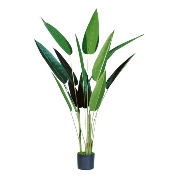 meet Kunstpflanze Paradiesvogelblume 140 cm