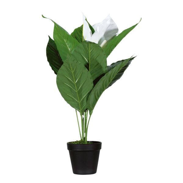 meet Kunstpflanze �Einblatt� 55 cm