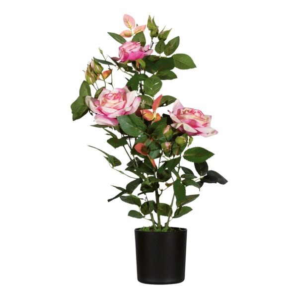 meet Kunstpflanze �Rosenstock� 54 cm
