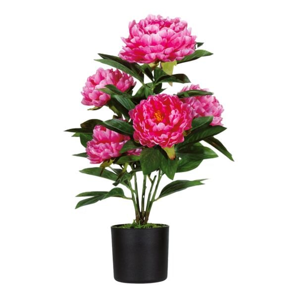 meet Kunstpflanze �Pfingstrose� 55 cm