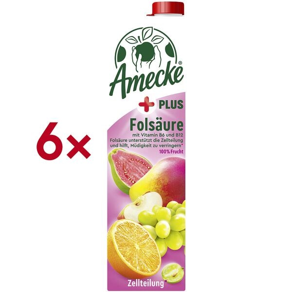 6er-Pack Fruchtsaft »+ Folsäure« 1 Liter