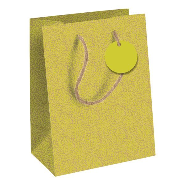 Clairefontaine 6er-Pack Geschenktasche »Néon« 21,5x10,2x25,3cm Clairefontaine 6er-Pack Geschenktasche »Néon« 21,5x10,2x25,3cm