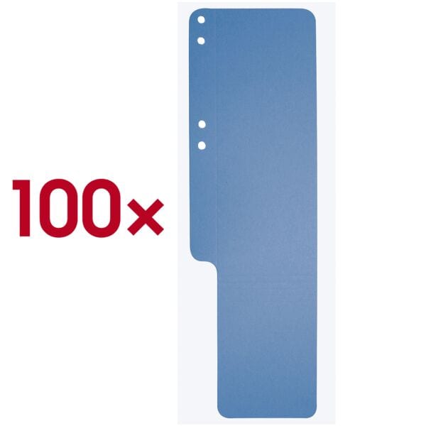 100x Exacompta Aktenfahne, Karton Rechteck, 100 St�ck